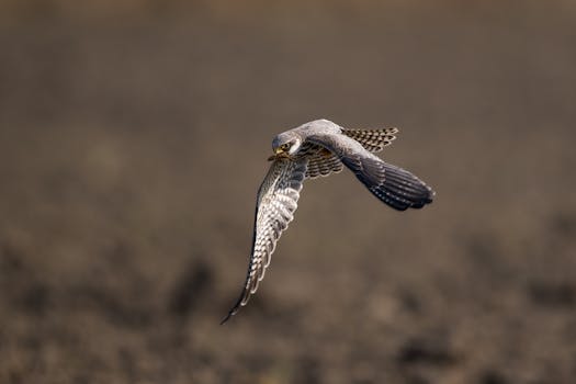  金融高管腐败案宣判；贵州银行原行长许安获死缓。 股票财经 金融高管腐败案宣判；贵州银行原行长许安获死缓。 股票财经 金融高管腐败案宣判；贵州银行原行长许安获死缓。 股票财经