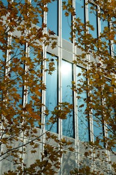  从亏损到盈利，金蝶2025年交出亮眼答卷；AI战略加速落地。 IT技术