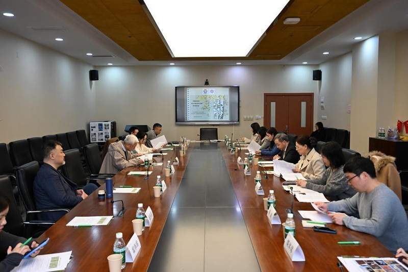  当白桦林不再只是风景：一场跨越时空的艺术寻觅之旅 文化旅游