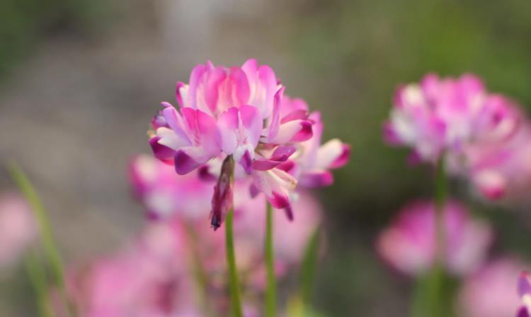  你还在叫孩子“宝宝”吗？一位妈妈的觉醒：换个称呼，孩子就不一样了 情感心理