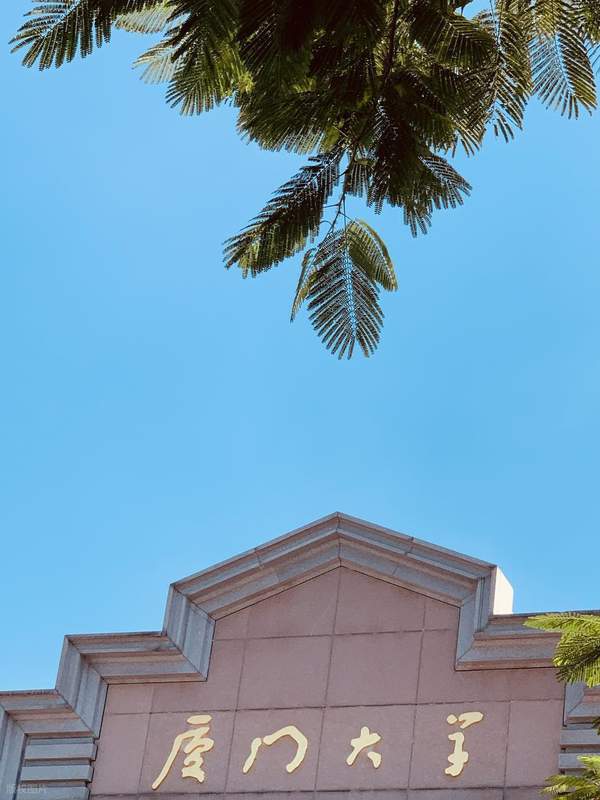  【深度拆解】考研初试第一≠录取：复试权重50%背后的录取逻辑与破局策略 教育招生