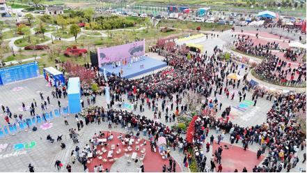  农文旅融合的技术拆解：一个八百年庙会的流量转化模型 企业服务