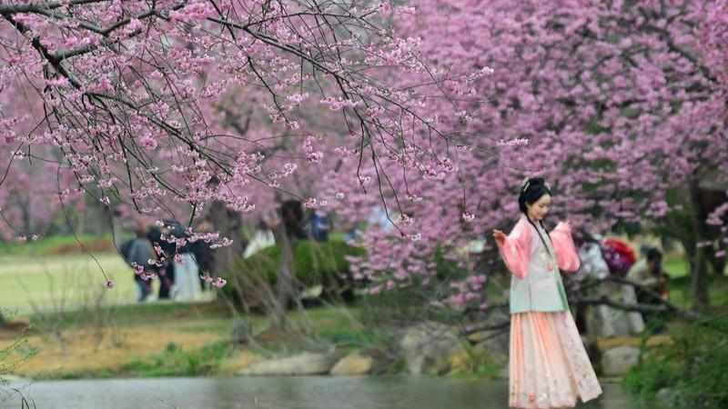  数据拆解·运营复盘：长三角铁路1242.8万客流背后的技术演进与精准调度 新闻 数据拆解·运营复盘：长三角铁路1242.8万客流背后的技术演进与精准调度 新闻 数据拆解·运营复盘：长三角铁路1242.8万客流背后的技术演进与精准调度 新闻