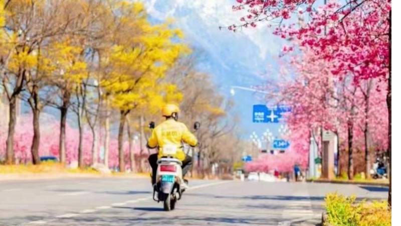  数据拆解·运营复盘：长三角铁路1242.8万客流背后的技术演进与精准调度 新闻 数据拆解·运营复盘：长三角铁路1242.8万客流背后的技术演进与精准调度 新闻 数据拆解·运营复盘：长三角铁路1242.8万客流背后的技术演进与精准调度 新闻