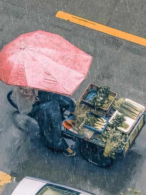 2026年谷雨交节时间深度解析：三大天文特征与农事影响预测 文化旅游 2026年谷雨交节时间深度解析：三大天文特征与农事影响预测 文化旅游
