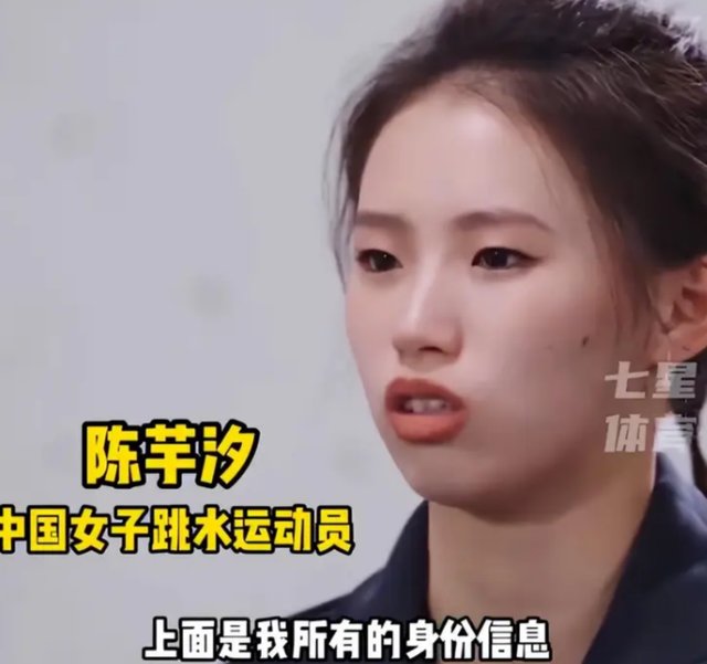 从282人群到十日拘留:全红婵网暴案处理差异的深层逻辑 新闻 从282人群到十日拘留:全红婵网暴案处理差异的深层逻辑 新闻