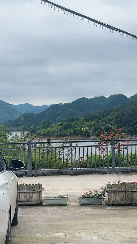 生命科学视角：55-65岁的生理衰退机制与心理韧性构建 健康养生