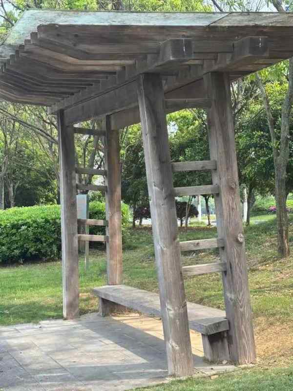  从「凌晨5点的爆竹声」看城市社区治理的盲区与破局 新闻