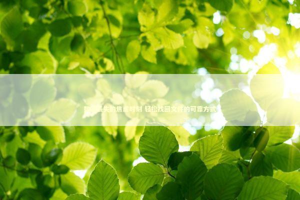 数据丢失的焦虑时刻 轻松找回文件的可靠方式 新闻