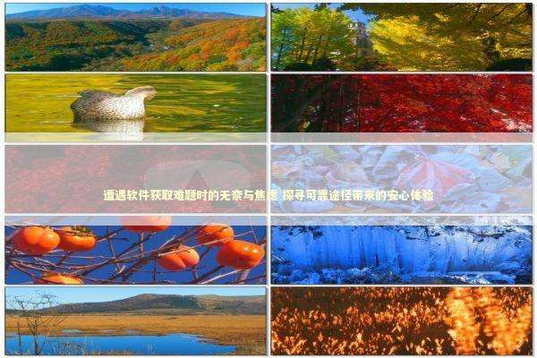 遭遇软件获取难题时的无奈与焦虑 探寻可靠途径带来的安心体验 新闻