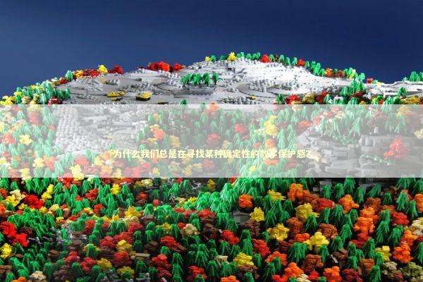 为什么我们总是在寻找某种确定性的数字保护感？