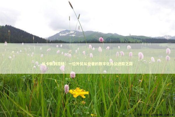 从卡顿到流畅：一位外贸从业者的数字化办公进阶之路 IT技术