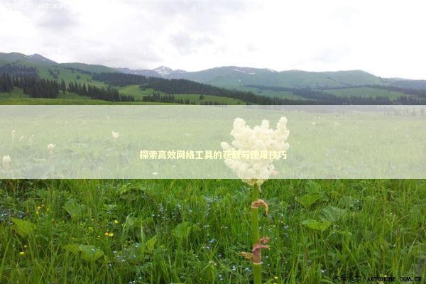 探索高效网络工具的获取与使用技巧