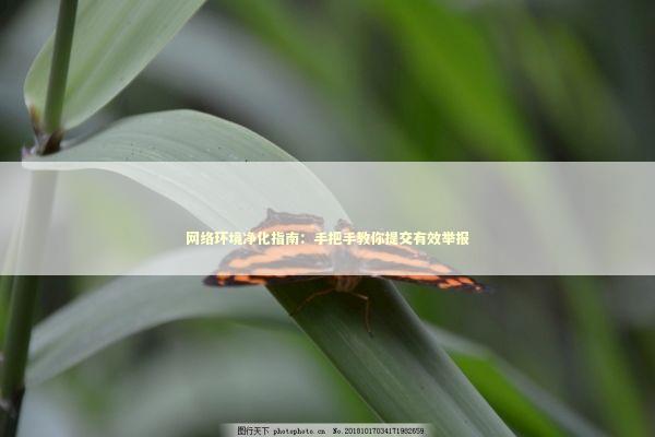 网络环境净化指南:手把手教你提交有效举报 网络环境净化指南:手把手教你提交有效举报 IT技术