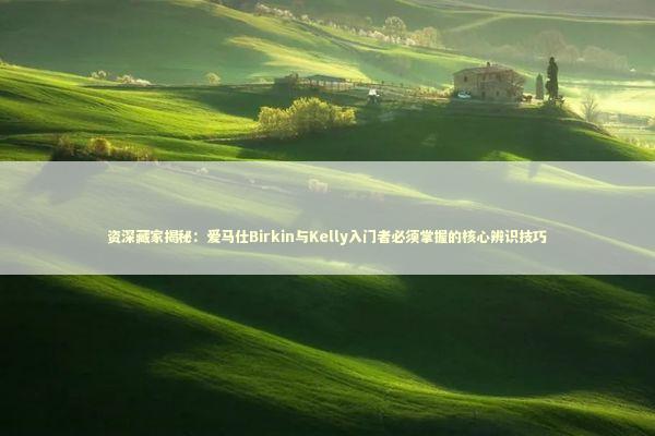 资深藏家揭秘：爱马仕Birkin与Kelly入门者必须掌握的核心辨识技巧 时尚用品